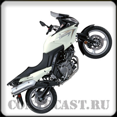 stickers for motorcycle SUZUKI Dl650 V-Strom