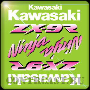 Kawasaki ZX-9R 2000 set of stickers